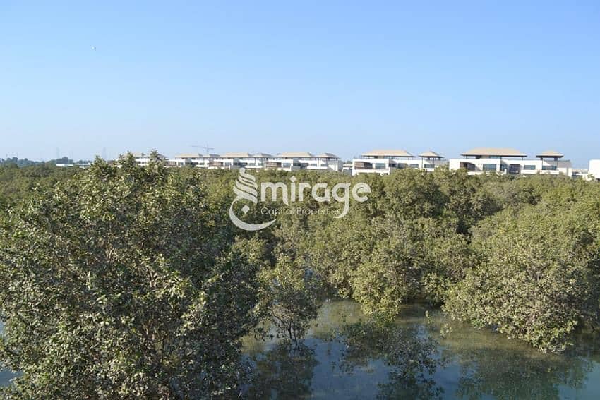 3 Actual-s3uMMEFHKBjlZzgBZ5L18005a_view_of_the_mangroves_looking_from_the_island_villas_back_towards_to_entrance_to_al_gurm. jpg