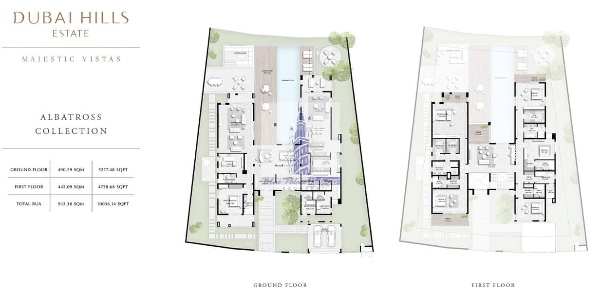 6 Albatross-Collection-10036.14-SqFt. jpg