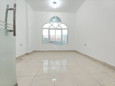 One Bedroom Apartment Is Available For Rent In Building