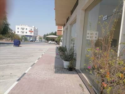 11 Bedroom Building for Sale in Al Rawda, Ajman - 91f6682d-333d-4260-83bd-2a7319f3b305. jpeg