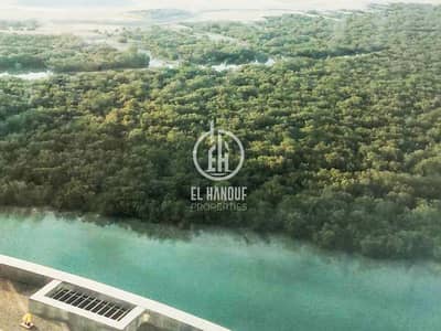 位于阿尔雷姆岛，城市之光社区，滨海湾大厦 1 卧室的公寓 65000 AED - 8727481 | Bayut.com