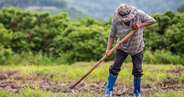8 agriculteur-qui-utilise-pelle-pour-creuser-sol-dans-ses-rizieres_1150-17239-626x330. jpg