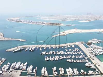 迪拜码头，