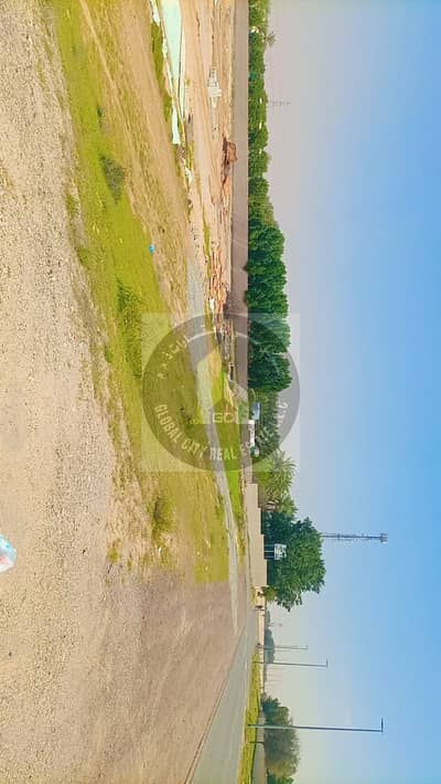 ارض سكنية  للبيع في الزاهية، عجمان - WhatsApp Image 2024-03-26 at 12.48. 59 PM. jpeg