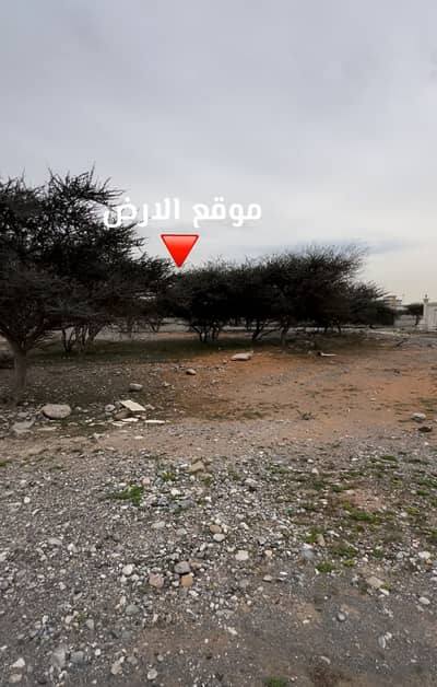 Plot for Sale in Seih Al Uraibi, Ras Al Khaimah - 1. jpg
