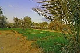 Mixed Use Land for Sale in Al Khatm, Abu Dhabi - farm 2. jpeg