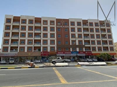3 Bedroom Flat for Rent in Dibba, Fujairah - Specious 3 Bedrooms Apartment in Prime Location For Rent
