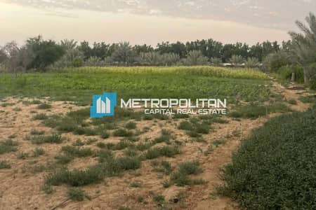 Mixed Use Land for Sale in Al Ajban, Al Ain - VIP Farm In Al Ajban For SALE | 500 x 500 SQFT