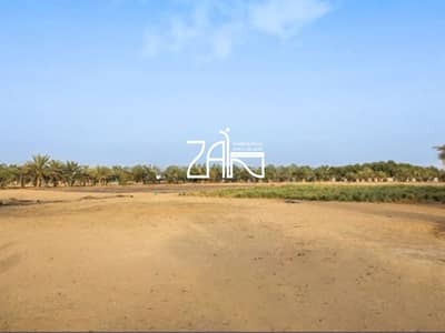 Plot for Sale in Mohammed Bin Zayed City, Abu Dhabi - 5. png