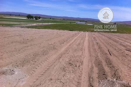 Corner Residential Land in Khalifa City. Corner Residential Land in Khalifa City.