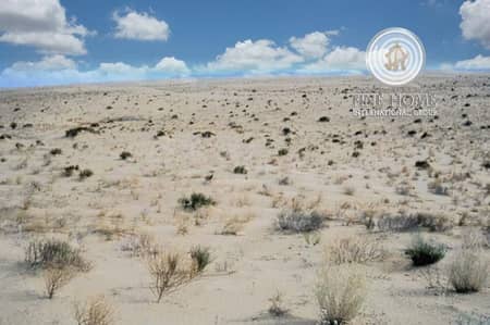 Superb Residential land in Madinat Zayed Superb Residential land in Madinat Zayed