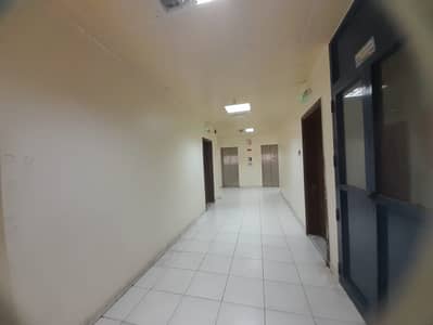 2 Cпальни Апартаменты в аренду в Абу Шагара, Шарджа - bf321328-d28c-448e-b082-cddb31f76461. jpg