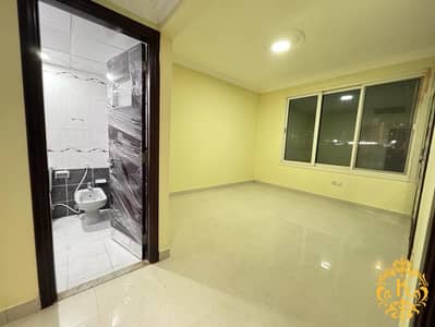 2 Bedroom Flat for Rent in Al Wahdah, Abu Dhabi - 616187b6-0c20-40a9-874d-e25807c7c0fa. jpeg