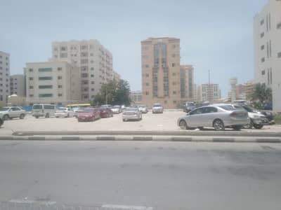 Commercial and residential land for sale in Abu Tina, Sharjah
