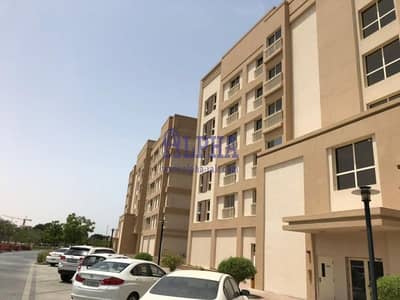 阿拉伯港， 拉斯海玛 单身公寓待售 - 位于阿拉伯港，迪拜湾码头 的公寓 335000 AED - 8862096