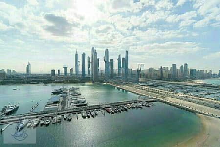 2 Bedroom Flat for Rent in Dubai Harbour, Dubai - 433865001_974950760860633_1748941894523100323_n. jpg