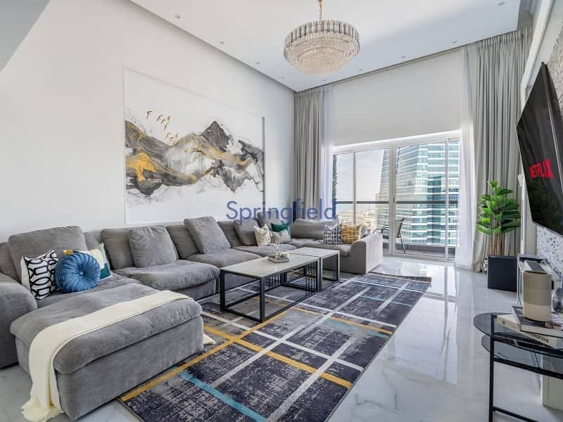 Fully Furnished | Upgraded | Spacious Layout