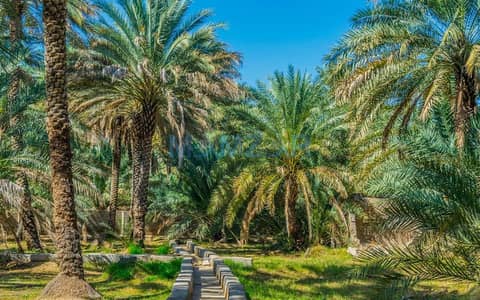 Mixed Use Land for Sale in Sweihan, Al Ain - Al-Ain-Oasis. jpg