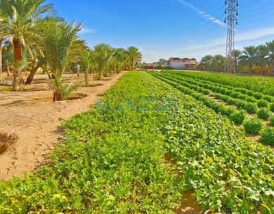 Mixed Use Land for Sale in Abu Krayyah, Al Ain - Screenshot 2021-04-22 165925. jpg