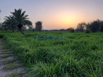 Mixed Use Land for Sale in Al Samha, Abu Dhabi - WhatsApp Image 2023-12-28 at 9.10. 59 AM. jpeg