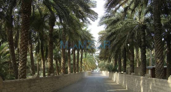 Земля смешанного использования Продажа в Лива, Абу-Даби - headerg464bf1e43c4. jpg