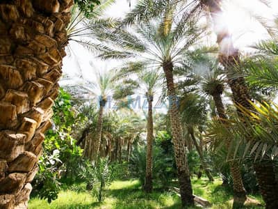 Mixed Use Land for Sale in Al Ajban, Al Ain - 65653. jpeg