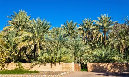 Mixed Use Land for Sale in Remah, Al Ain - 2016_1_alainoasis_base. jpg