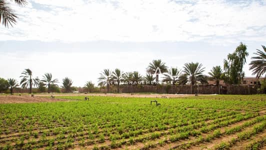 Plot for Sale in Al Rahba, Abu Dhabi - 7ed5a25a-766b-4a7c-8e2b-68a6a8d7ce1b. jpeg