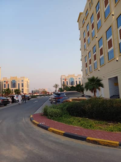 2 Cпальни Апартамент Продажа в Аль Амира Вилладж, Аджман - IMG-20240422-WA0002. jpg