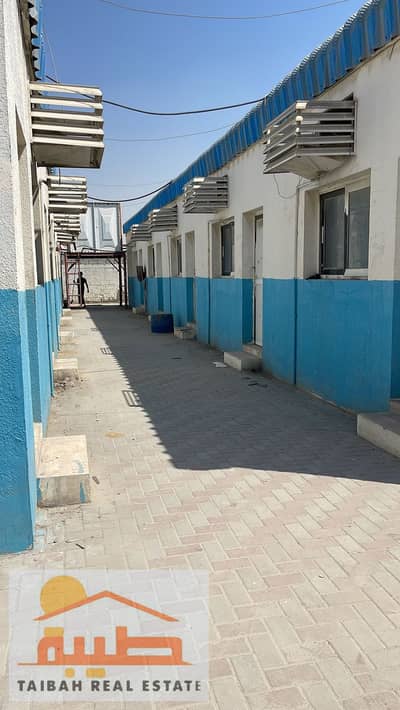 Трудовой лагерь в аренду в Аль Саджа, Шарджа - 621c506c-f3eb-480e-97ab-e702767f9b48. JPG
