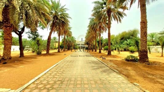 3 Bedroom Villa for Rent in Al Khibeesi, Al Ain - Charming | Old Style | Huge Garden Palm Tree