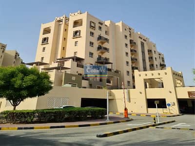 雷姆拉姆社区， 迪拜 单身公寓待售 - 位于雷姆拉姆社区，阿尔塔姆公寓，阿尔塔姆63号楼 的公寓 550000 AED - 8949531