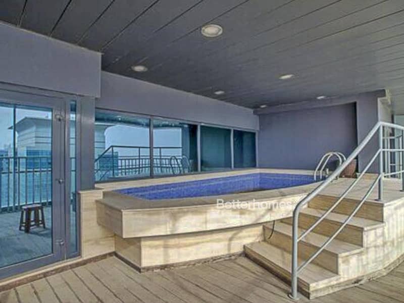 Penthouse with a private swimming pool
