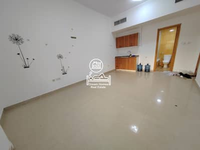 Studio for Rent in Mohammed Bin Zayed City, Abu Dhabi - IMG_20240220_174425. jpg