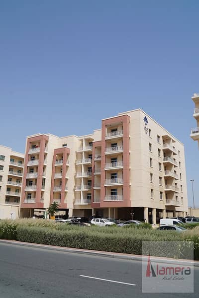 荔湾住宅区， 迪拜 1 卧室单位待售 - 位于荔湾住宅区，纵横焦点公寓大楼，马扎亚24号楼 1 卧室的公寓 489000 AED - 7913907