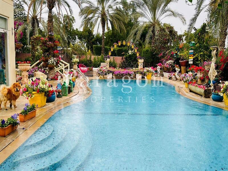 Private pool | Big plot | Fully Upgraded