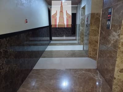 Luxury- 1BHK Apartment || Fully Family Building ||