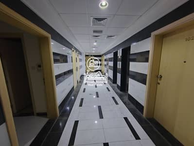 شقة 1 غرفة نوم للايجار في مدينة محمد بن زايد، أبوظبي - IMG_20240217_201502. jpg