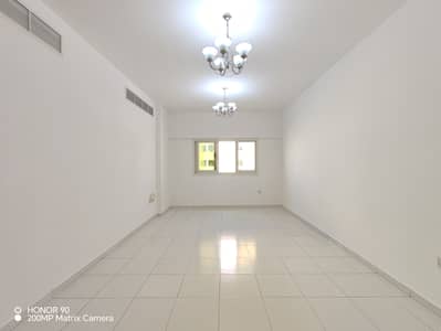 2 Bedroom Flat for Rent in Al Warqaa, Dubai - IMG_20231130_141144. jpg