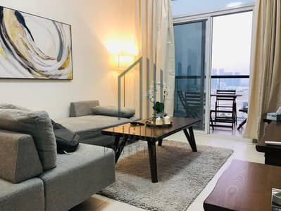 BRAND NEW Fully Furnished 2 Bedroom Apartment