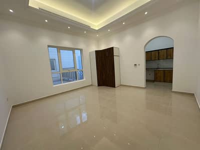 Studio for Rent in Mohammed Bin Zayed City, Abu Dhabi - 991e24dc-eab1-4961-ac8f-9796a97be67a. jpg