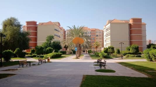 2 Bedroom Flat for Rent in Discovery Gardens, Dubai - WhatsApp Image 2024-05-14 at 4.07. 02 PM-2. jpeg