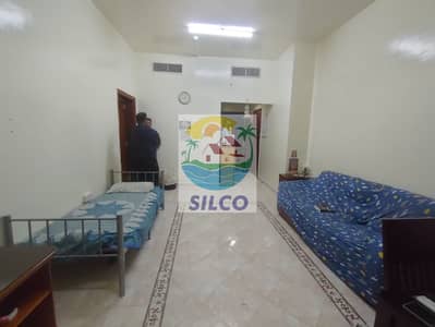 فلیٹ 1 غرفة نوم للايجار في شارع حمدان، أبوظبي - شقة في شارع حمدان 1 غرفة 4800 درهم - 6725365