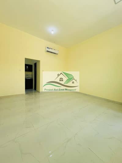 Studio for Rent in Mohammed Bin Zayed City, Abu Dhabi - 8b89eb35-f232-4d77-99c3-a9fcfa7ec304. jpg