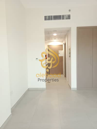 Studio for Rent in International City, Dubai - IMG_20240514_163332. jpg