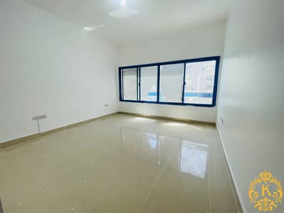 2 Bedroom Flat for Rent in Al Falah Street, Abu Dhabi - IMG_6955. jpeg