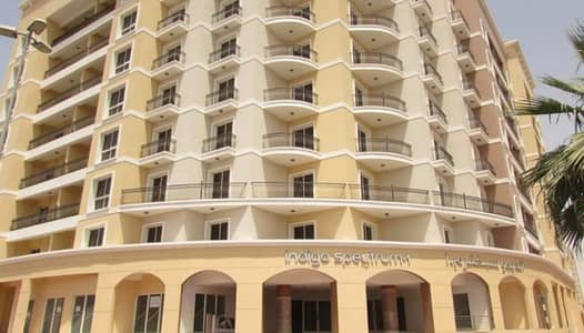 1 Bedroom Apartment for Rent in International City, Dubai - WhatsApp Image 2024-05-18 at 12.06. 59 PM. jpeg