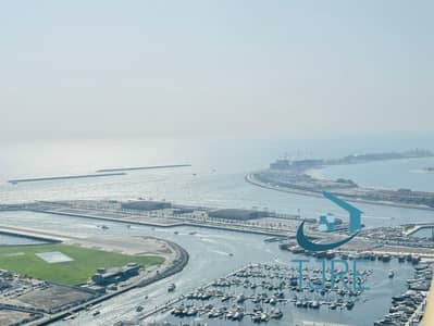 迪拜码头，