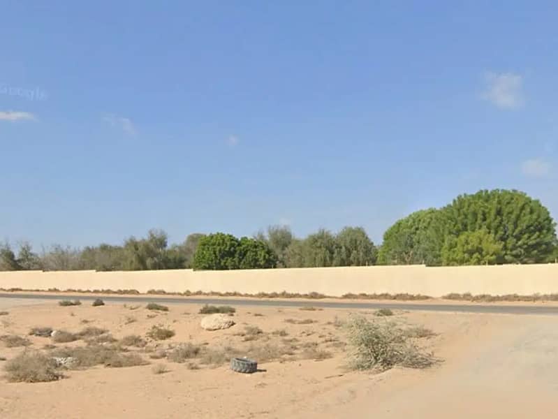 3 493599582-1066x800. jpg