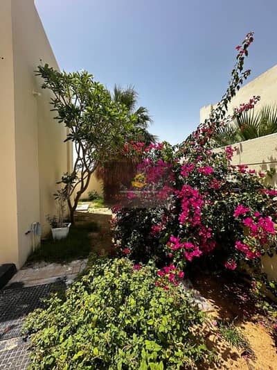 3 Bedroom Villa for Rent in Shakhbout City, Abu Dhabi - bc9f8a53-71eb-4018-9765-0ed3021a91a0. jpg